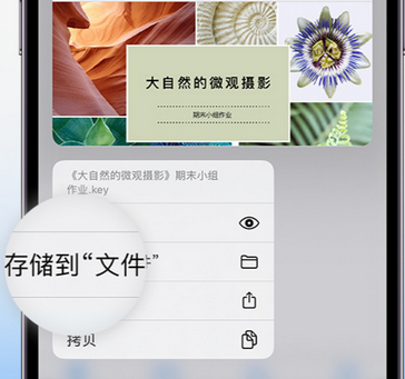 博兴apple维修中心分享iPhone文件应用中存储和找到下载文件