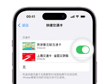 博兴apple维修点分享iPhone上更换Apple Pay快捷交通卡手绘卡面 