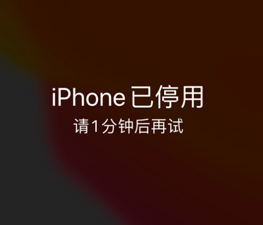 博兴苹果手机维修分享:iPhone 显示“不可用”或“已停用”怎么办？还能保留数据吗？ 