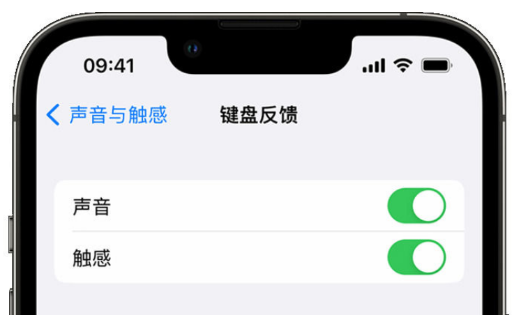 博兴苹果手机维修分享iPhone 14触感键盘使用方法 