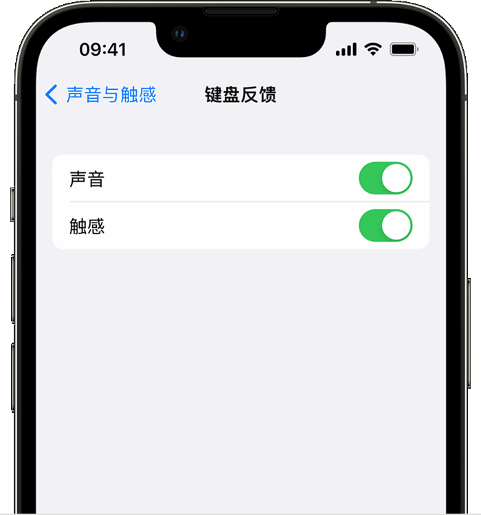 博兴苹果14维修店分享如何在 iPhone 14 机型中使用触感键盘 