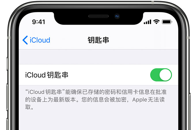 博兴苹果手机维修分享在 iPhone 上开启 iCloud 钥匙串之后会储存哪些信息 