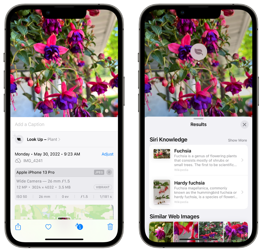 博兴苹果手机维修分享小技巧：使用 iPhone 相机识别花卉植物 