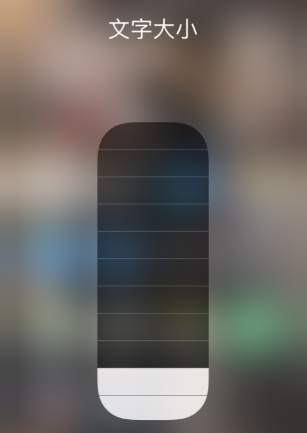 博兴苹果手机维修分享小技巧：在 iPhone 控制中心快速调节字体大小 