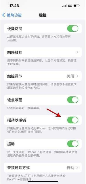 博兴苹果手机维修分享iPhone手机如何设置摇一摇删除文字 