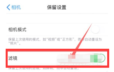 博兴苹果13维修分享iPhone13拍照有绿点是怎么回事 