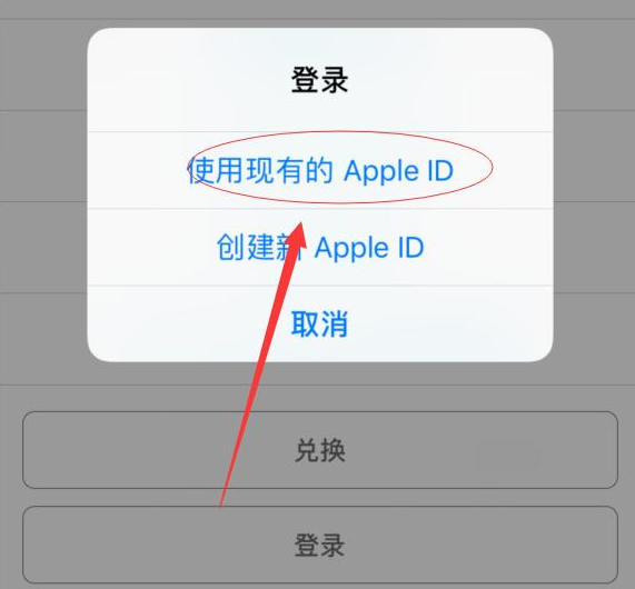 博兴苹果手机维修分享两台iPhone设备可以同时登录一个Apple ID吗 
