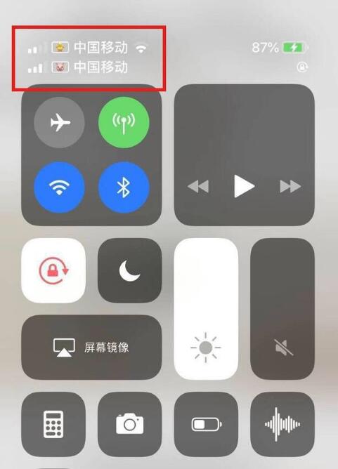 博兴苹果手机维修分享为 iPhone 12 双卡设置标签 
